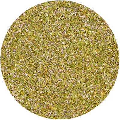 Erika - Erica vulgaris