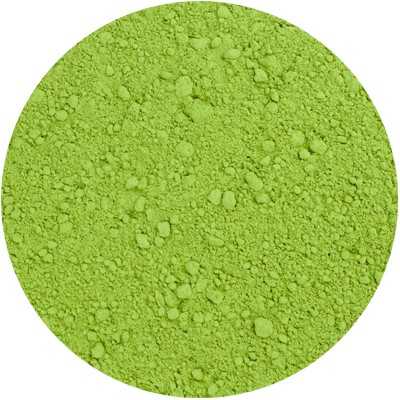 Wheatgrass - Triticum aestivum