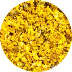 Toorst (Koningskaars) Bloem Heel - Verbascum thapsus Flor. Tot.