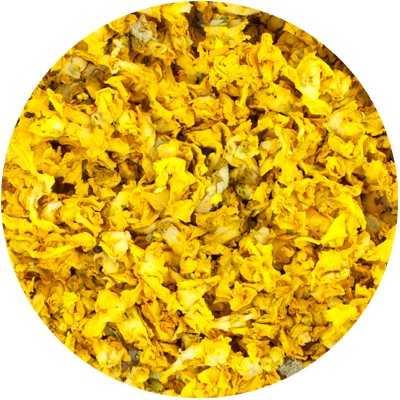 Königskerzen - Verbascum thapsus