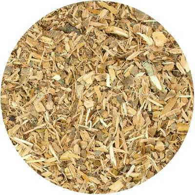 copy of Witch Hazel (Bark) - Hamamelis virginiana