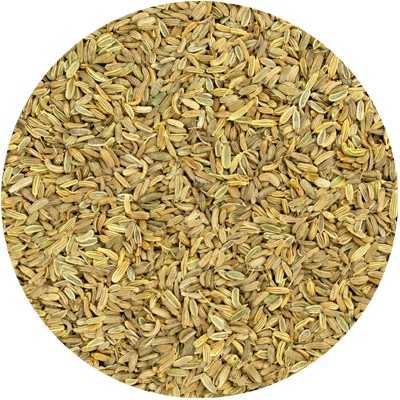 Fenouil - Foeniculum vulgare - Entières