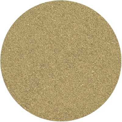 Schwarzer Pfeffer - Piper nigrum