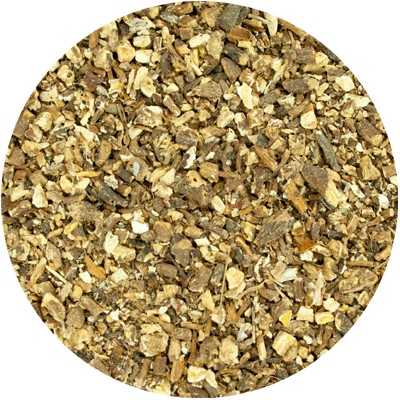 Pissenlit (Racine) - Taraxum officinale