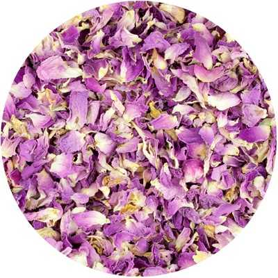 Rosen - Rosae damascena