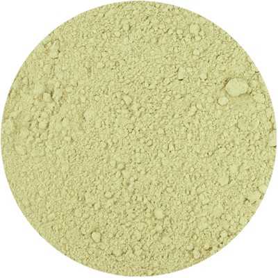 Marshmallow - Althaea officinalis