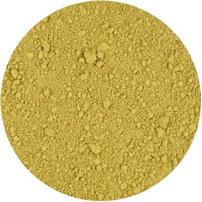 Kumis Kutjing - Orthosiphon aristatus