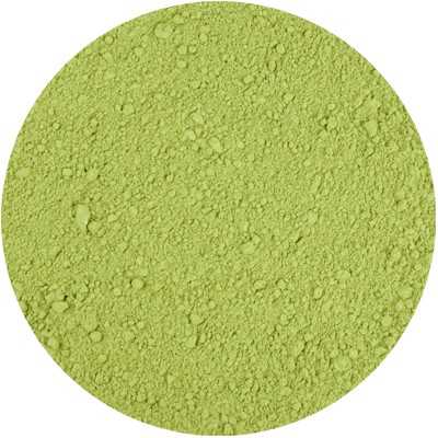 Field Horsetail - Equisetum arvense