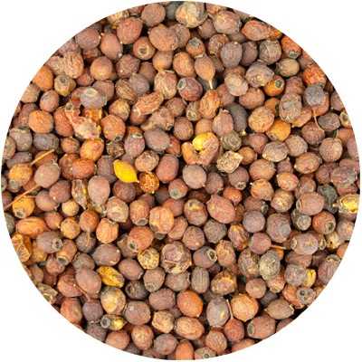 Meidoornbes - Crataegus monogyna (Crataegus oxycantha)