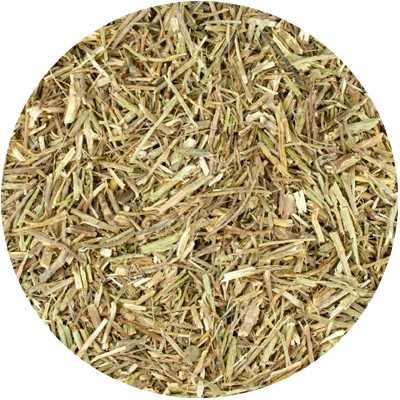 Eisenkraut - Verbena officinalis