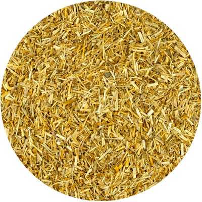 Tausendgüldenkraut - Centaurium erythraea