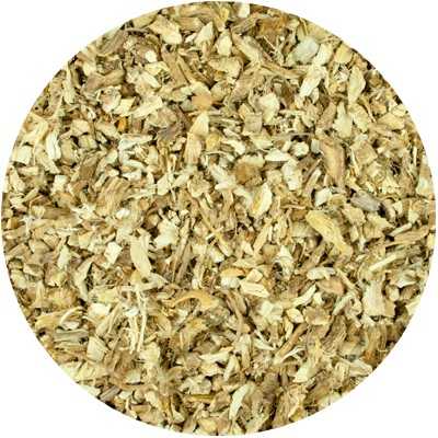 Guimauve (Carotte) - Althaea officinalis