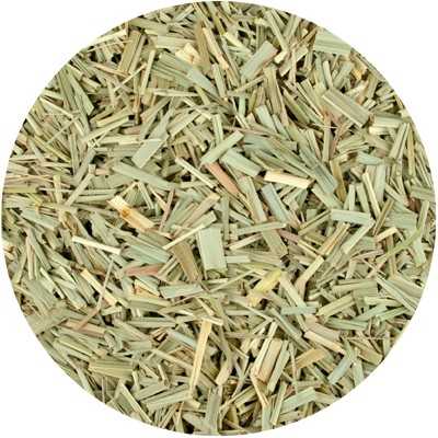 Citronnelle - Cymbopogon citratus