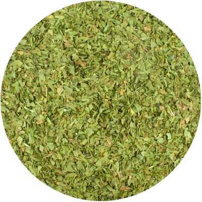 Livèche - Levisticum officinale