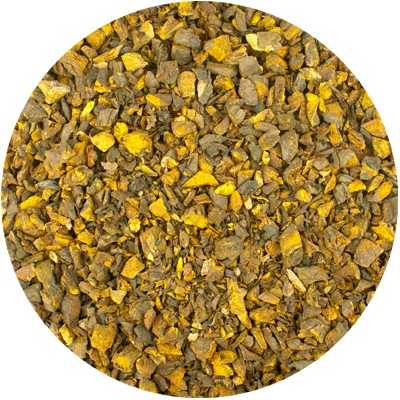 Rhubarbe de Chine - Rheum palmatum / Rheum officinalis