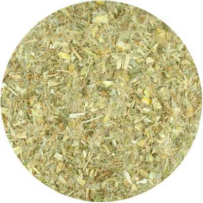 Chardon béni - Centaurea benedicta