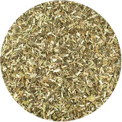 Bétonie - Betonica officinalis