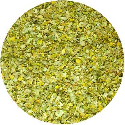 Arbre Moringa - Moringa oleifera - (Feuille coupée)