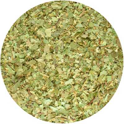 Bouleau - Betula pendula Roth, Betulae (Feuille Coupé)