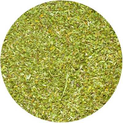 Amerikanisches Helmkraut - Scutellaria lateriflora