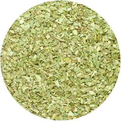 Oliven - Olea europaea