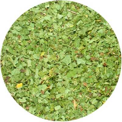 Blackcurrant - Ribes nigrum