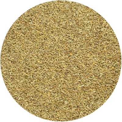 Anise - Pimpinella anisum