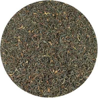 Thé noir Assam - Camellia sinensis
