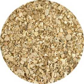 Wilde Yam Wortel - Dioscorea villosa