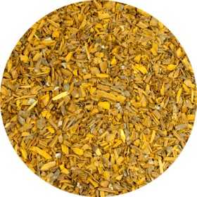 Cinchona tree (Kina - Quina) - Cinchona officinalis