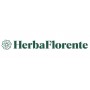 Herbe d'absinthe - Artemisia absinthium