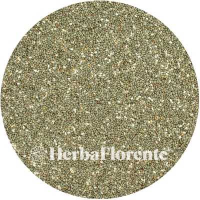 Chia seeds - Salviae Sem. Hispanica nigri albi