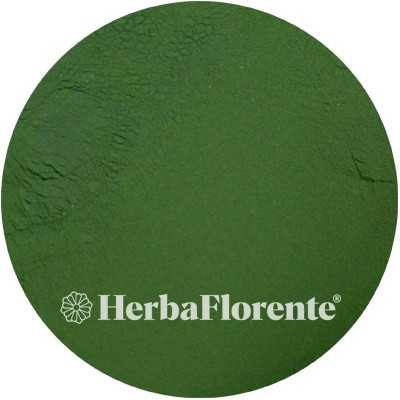 Chlorella - Chlorella