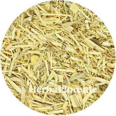 Eleutherococcus (Siberian Ginseng) - Eleutherococcus - Cut