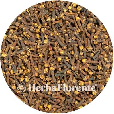 Clove - Syzygium aromaticum - Whole