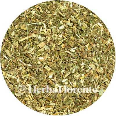 Meadowsweet - Filipendulae ulmaria