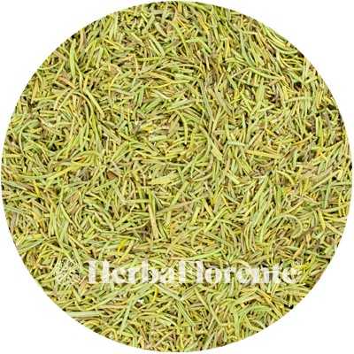 Rosemary - Rosmarini officinalis - Cut