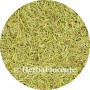 Rosemary - Rosmarini officinalis - Cut