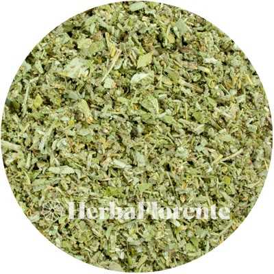 Sage - Salviae officinalis - Cut