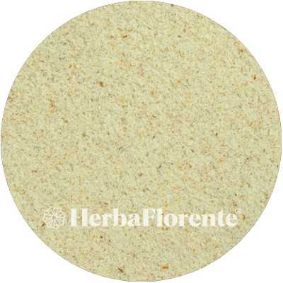 Flohsamen (Premium-Psyllium-Faser) - Psylli flavum Testa