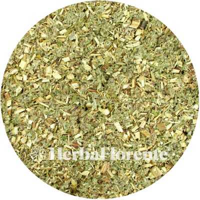 Mugwort - Artemisiae vulgaris - Cut